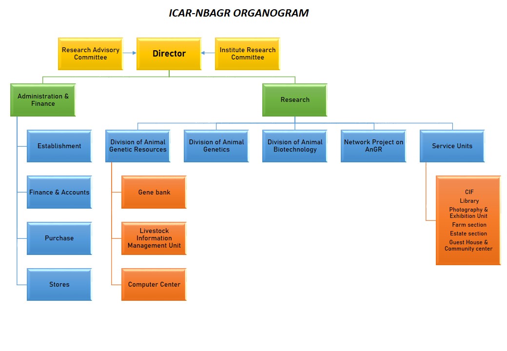 Organisation Setup - ICAR- National Bureau of Animal Genetic Resources