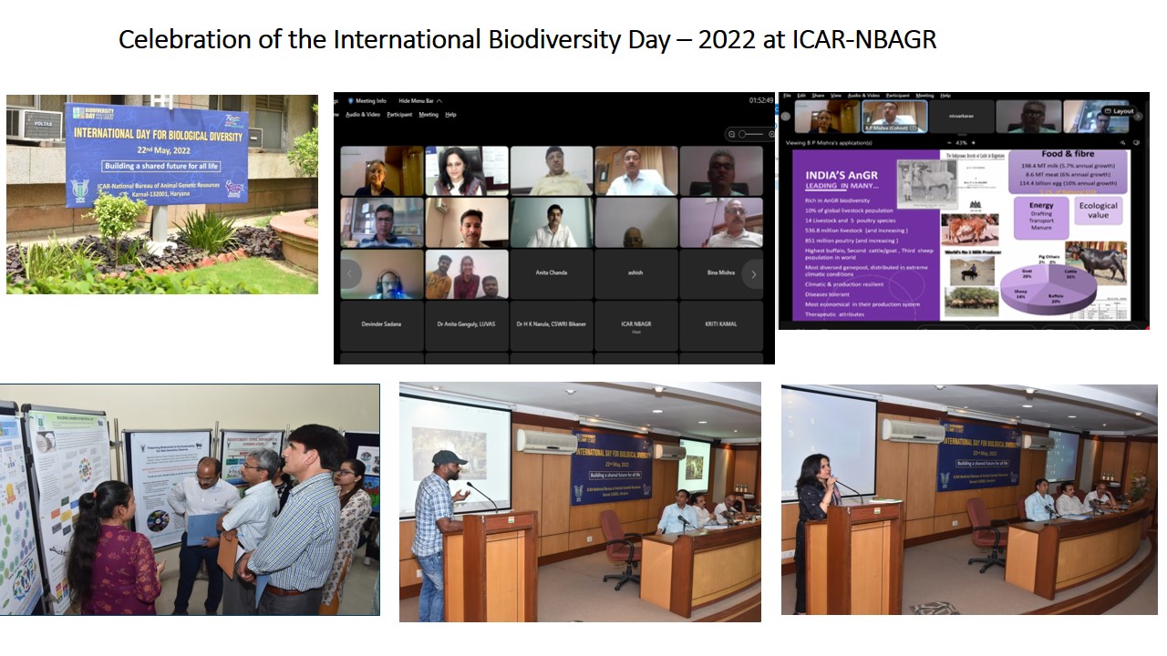 biodiversity day